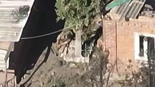 Sniper pozdravil okupanta headshotom