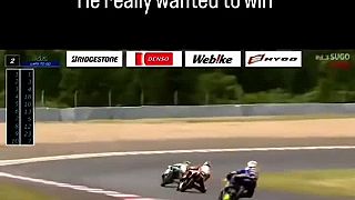 S lesnou zverou sa vôbec nesral