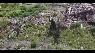 870. deň vojny v Ukrajine