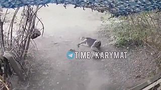 Okupanti zisťujú ako správne amputovať ruku