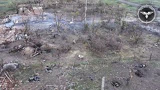 Kompilacia utokov Ukrajinskej armady dronmi na ruskeho agresora. (brutalne, )