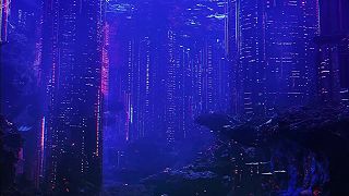 MaRLo - Oceans