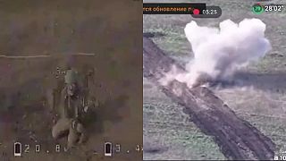 PVO skala