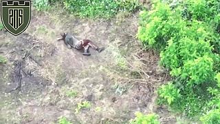 Kompilacia utokov dronmi Ukrajinskej armady proti ruskym agesorom.
(Drsne)