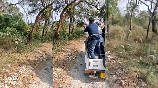 Dúfam, že vieš dobre cúvať, keď ideš na safari pozorovať nosorožcov!