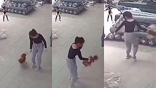 Beštiálny útok kohúta na ázijskú ženu
