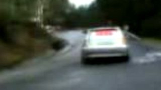 Rally - nehoda sranda