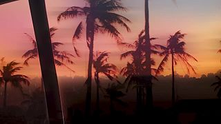 Nicky Romero, Öwnboss & Oaks - Love You for the Summer