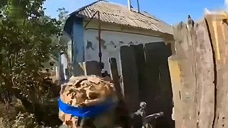 "Civilizovaný" postup okupantov OSU v Kurskej oblasti