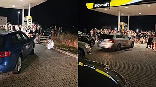 Beštiálny protest slovenských ekoteroristov