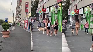 Absolútny štandard vo Zvolene