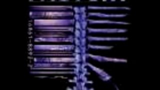 Fear Factory (3.)