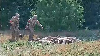 Ruskí vojaci upratujú lesík od hnijúcich mŕtvol ukrajinských neonacistov