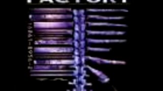 Fear Factory (4.)