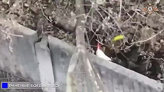Ukro náckovia v Rusku dostávajú riadne po riťkách