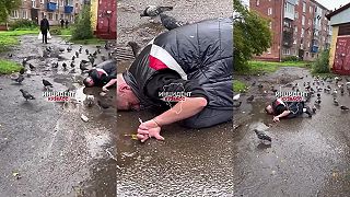 Rus sa identifikoval ako holub