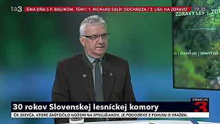 Slovenská lesnícka komora. História a vývoj iných lesníckych organizácii