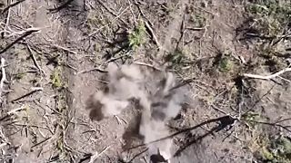 Deštrukcia ukrajinských náckov v Kurskej oblasti