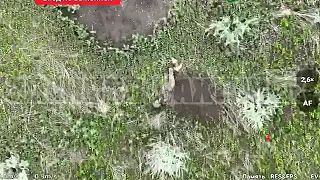 Ukro náckovi sa výlet v rusku nevydaril