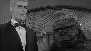 Addams.Family.S01E03.DVDRip.x264.Multi.SK-Snf.mkv