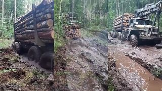 Ťažba dreva v Ruskej federácii