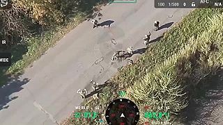 Skutočnosť vyvracajúca nechutnú propagandu šírenú užívateľom angerfistt