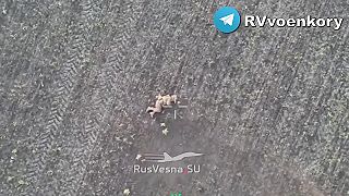 Mŕtvi ukrajinskí vojaci na poli v Gluškovskom okrese