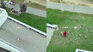 Aportovanie vnučky na povel