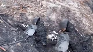 V zápale boja za cára Putina