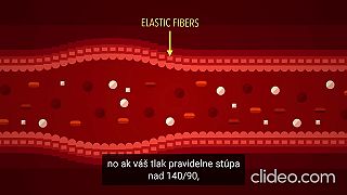 Ako krvný tlak pôsobí a ovplyvňuje krvné cievy