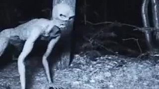 Monstrum