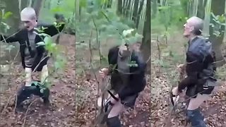 Krokodíl a jeho posledné dni života