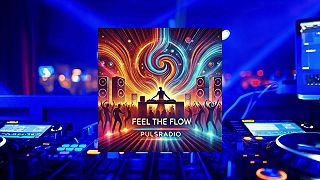 PulsRadio Inc - We Feel The Flow