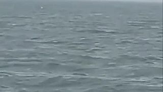 A mysterious phenomenon in the ocean