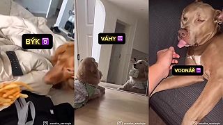 Jaké jste znamení?