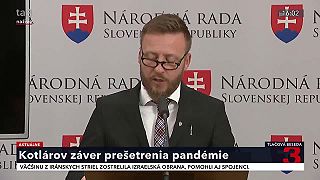 Vyšetrovanie pandémie Covidu