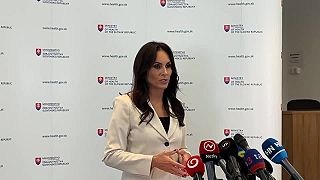 Ministerka Dolinková ostro kritizuje bláznivého konšpirátora Petra Koltára