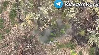 Ničenie Ukrajinskej pechoty v smere na Toretsk