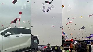 Festival draků