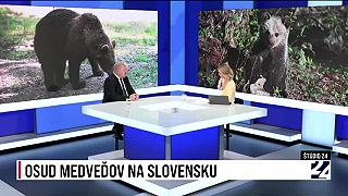 Rudol Huliak vs Erik Baláž o téme medvede. Hubár mal smrteľné zranenie