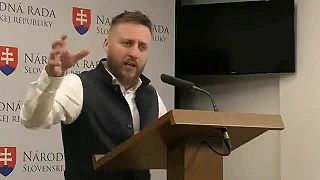 Splnomocnenec vlády Peter Koltár zvažuje odchod