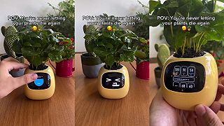 Květináč Plantagotchi