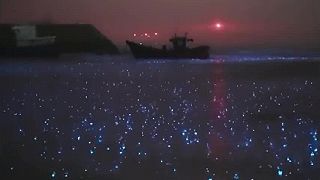 Bioluminiscence v moři během deště.