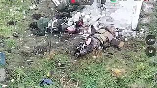 Murko si našiel kamaráta
