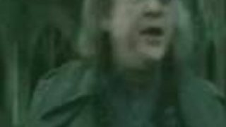 Harry mastič Potter