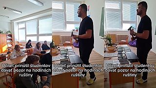 Výučba ruštiny na Slovensku