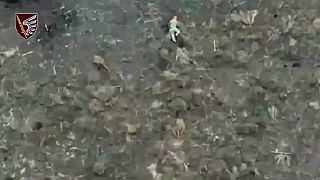 79. odráža útok okupantov na Kurakhiv