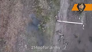 Spawn okupantov uprostred poľa