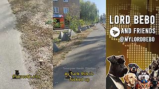 Ukrajinská obrana v meste Pokrovsk
