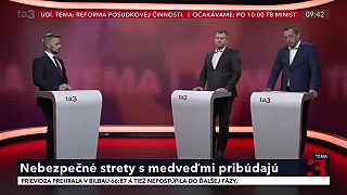 Nebezpečné strety s medveďmi pribúdajú. Štátny tajomník ministerstva ŽP